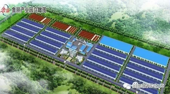 熱烈祝賀威龍VIP客戶魯麗木業(yè)首次登陸央視平臺