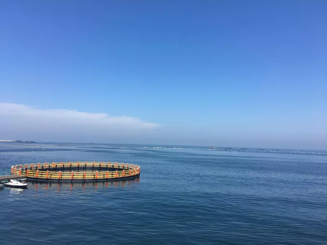 威海二日游，共享夏日情